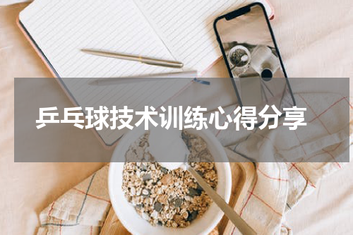  乒乓球技术训练心得分享