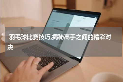  羽毛球比赛技巧,揭秘高手之间的精彩对决
