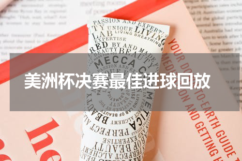  美洲杯决赛最佳进球回放