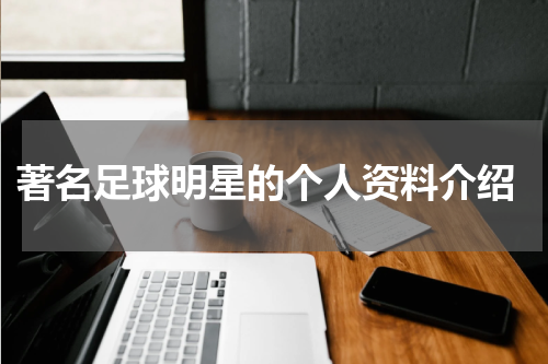  著名足球明星的个人资料介绍
