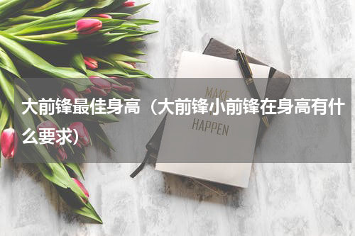 大前锋最佳身高（大前锋小前锋在身高有什么要求）