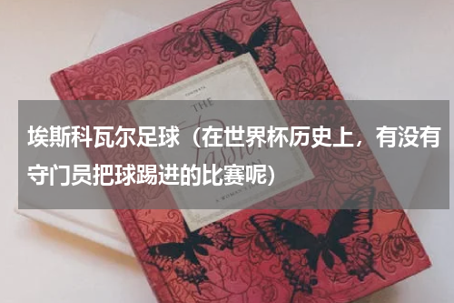 埃斯科瓦尔足球（在世界杯历史上，有没有守门员把球踢进的比赛呢）