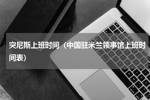 突尼斯上班时间（中国驻米兰领事馆上班时间表）