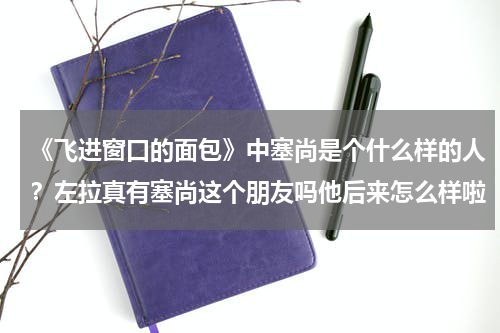 《飞进窗口的面包》中塞尚是个什么样的人？左拉真有塞尚这个朋友吗他后来怎么样啦（《左拉传》里的）