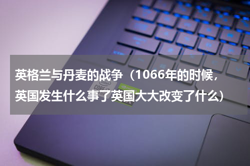英格兰与丹麦的战争（1066年的时候，英国发生什么事了英国大大改变了什么）