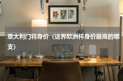 意大利门将身价（这界欧洲杯身价最高的哪支）