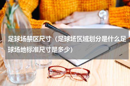 足球场禁区尺寸（足球场区域划分是什么足球场地标准尺寸是多少）
