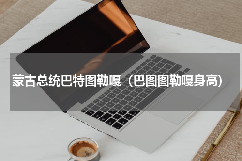 蒙古总统巴特图勒嘎（巴图图勒嘎身高）