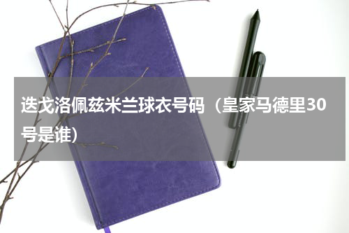 迭戈洛佩兹米兰球衣号码（皇家马德里30号是谁）