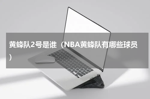 黄蜂队2号是谁（NBA黄蜂队有哪些球员）