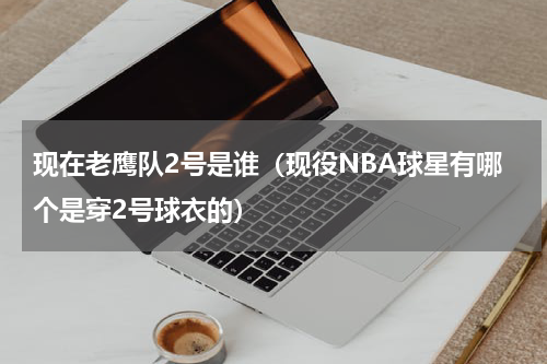 现在老鹰队2号是谁（现役NBA球星有哪个是穿2号球衣的）