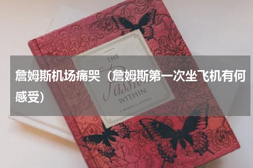 詹姆斯机场痛哭（詹姆斯第一次坐飞机有何感受）