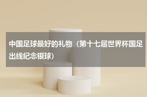 中国足球最好的礼物（第十七届世界杯国足出线纪念银球）