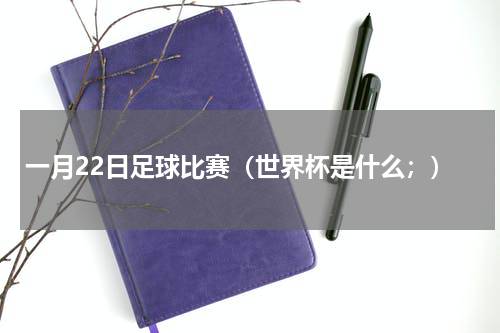 一月22日足球比赛（世界杯是什么；）