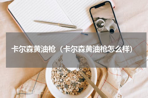 卡尔森黄油枪（卡尔森黄油枪怎么样）