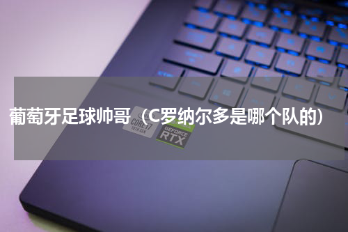 葡萄牙足球帅哥（C罗纳尔多是哪个队的）