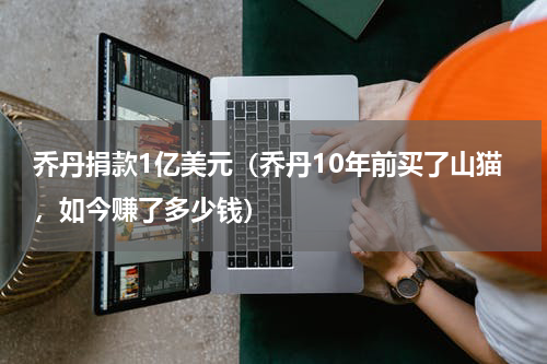乔丹捐款1亿美元（乔丹10年前买了山猫，如今赚了多少钱）