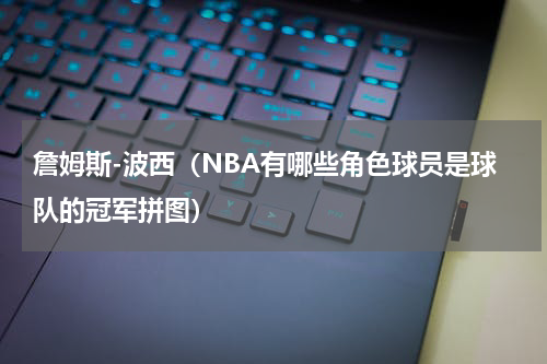 詹姆斯-波西（NBA有哪些角色球员是球队的冠军拼图）