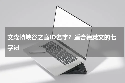 文森特峡谷之巅ID名字？适合德莱文的七字id