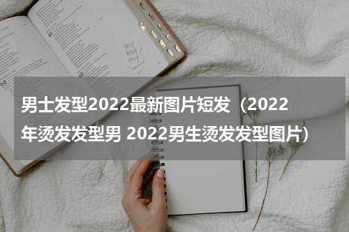 男士发型2022最新图片短发（2022年烫发发型男 2022男生烫发发型图片）