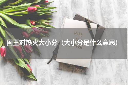 国王对热火大小分（大小分是什么意思）