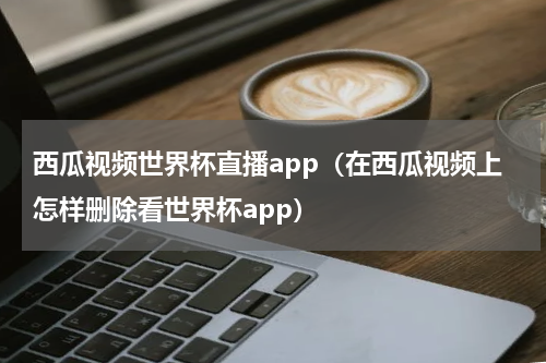 西瓜视频世界杯直播app（在西瓜视频上怎样删除看世界杯app）