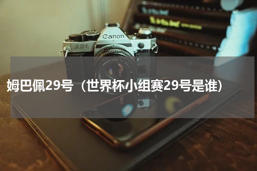 姆巴佩29号（世界杯小组赛29号是谁）