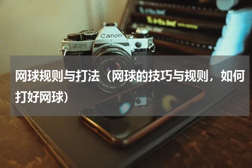 网球规则与打法（网球的技巧与规则，如何打好网球）