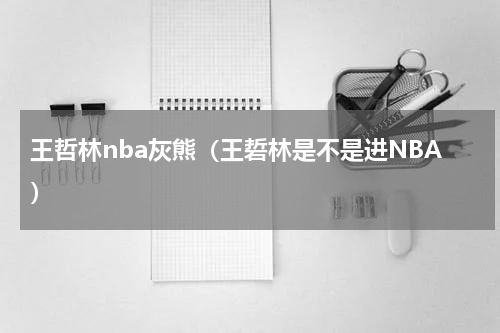 王哲林nba灰熊（王硩林是不是进NBA）