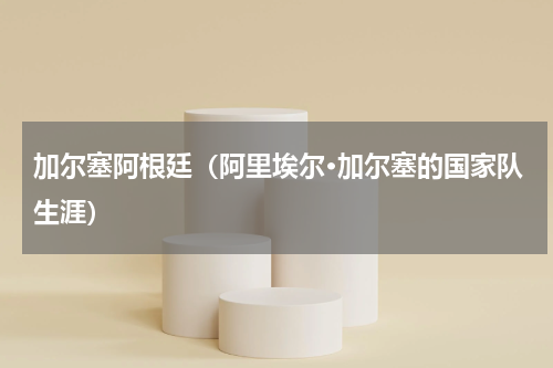 加尔塞阿根廷（阿里埃尔·加尔塞的国家队生涯）