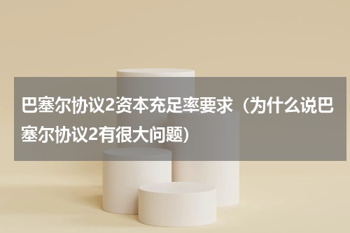 巴塞尔协议2资本充足率要求（为什么说巴塞尔协议2有很大问题）