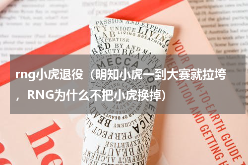 rng小虎退役（明知小虎一到大赛就拉垮，RNG为什么不把小虎换掉）