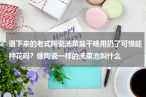 退下来的老式陶瓷洗菜盆干啥用扔了可惜能种花吗？像陶瓷一样的洗菜池叫什么