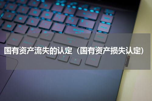 国有资产流失的认定（国有资产损失认定）