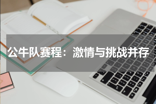 公牛队赛程：激情与挑战并存