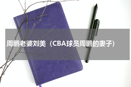 周鹏老婆刘美（CBA球员周鹏的妻子）
