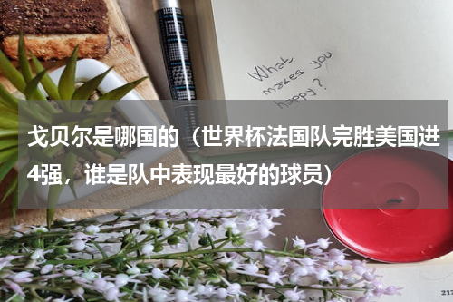戈贝尔是哪国的（世界杯法国队完胜美国进4强，谁是队中表现最好的球员）
