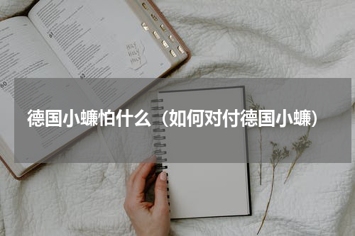 德国小蠊怕什么（如何对付德国小蠊）