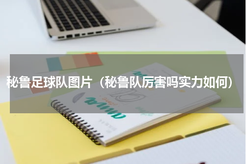 秘鲁足球队图片（秘鲁队厉害吗实力如何）