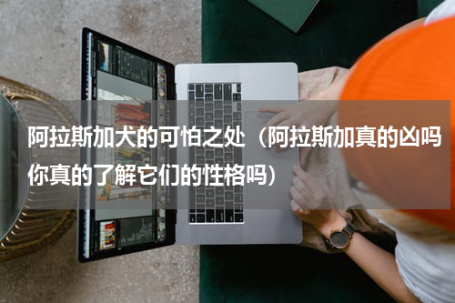 阿拉斯加犬的可怕之处（阿拉斯加真的凶吗你真的了解它们的性格吗）