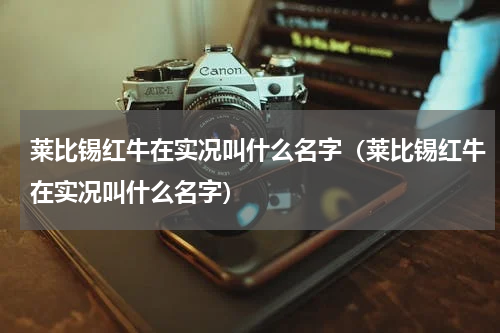 莱比锡红牛在实况叫什么名字（莱比锡红牛在实况叫什么名字）