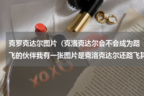 克罗克达尔图片（克洛克达尔会不会成为路飞的伙伴我有一张图片是克洛克达尔还路飞其他伙伴在路飞船上的）
