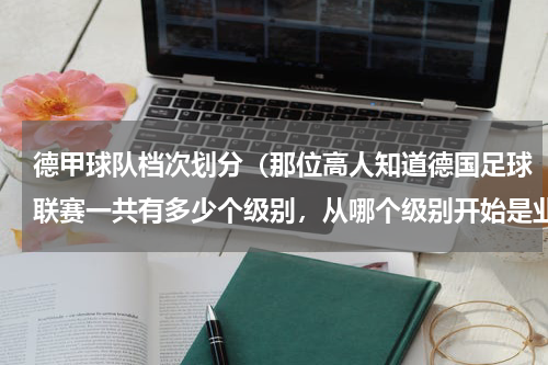 德甲球队档次划分（那位高人知道德国足球联赛一共有多少个级别，从哪个级别开始是业余的，德丁下面的联赛是怎么个状况，分组）