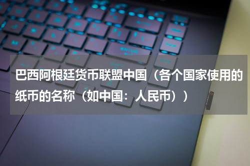 巴西阿根廷货币联盟中国（各个国家使用的纸币的名称（如中国：人民币））
