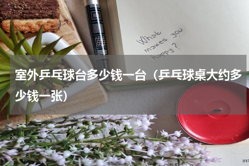 室外乒乓球台多少钱一台（乒乓球桌大约多少钱一张）