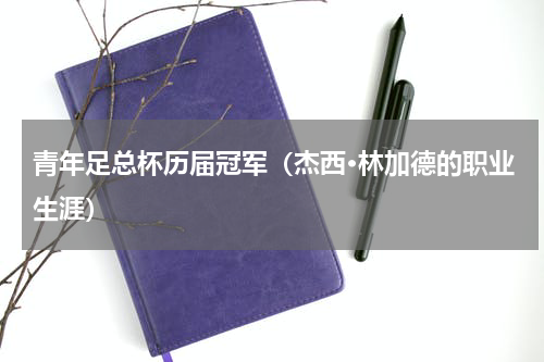 青年足总杯历届冠军（杰西·林加德的职业生涯）