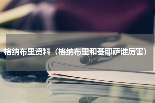 格纳布里资料（格纳布里和基耶萨谁厉害）