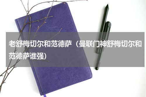 老舒梅切尔和范德萨（曼联门神舒梅切尔和范德萨谁强）