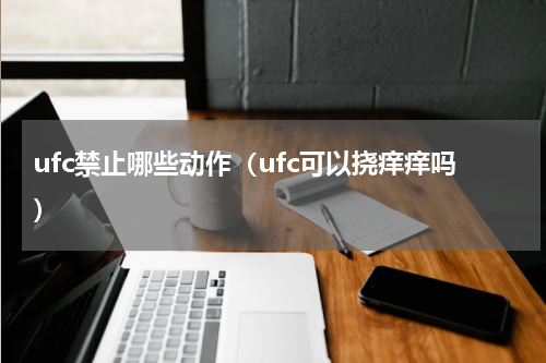 ufc禁止哪些动作（ufc可以挠痒痒吗）