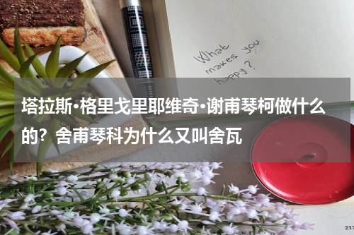 塔拉斯·格里戈里耶维奇·谢甫琴柯做什么的？舍甫琴科为什么又叫舍瓦